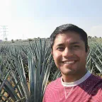 Mi avatar